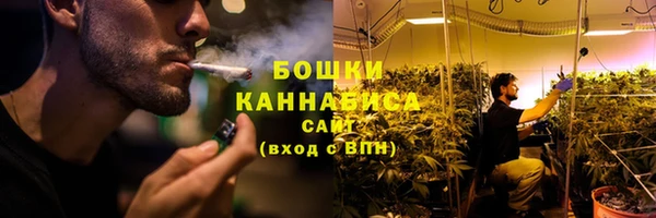 ПСИЛОЦИБИНОВЫЕ ГРИБЫ Арсеньев