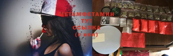 ПСИЛОЦИБИНОВЫЕ ГРИБЫ Арсеньев