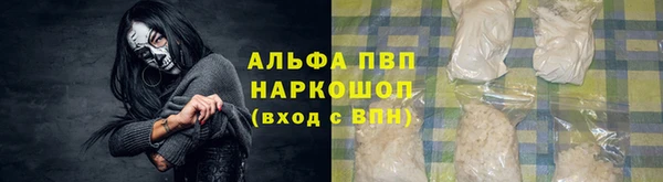 ПСИЛОЦИБИНОВЫЕ ГРИБЫ Арсеньев