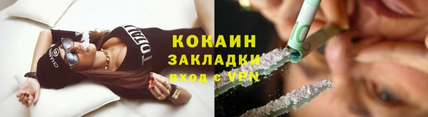 ПСИЛОЦИБИНОВЫЕ ГРИБЫ Арсеньев