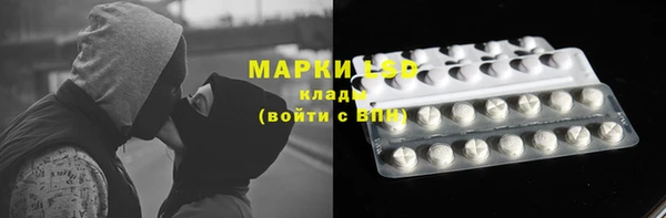 крисы Аркадак