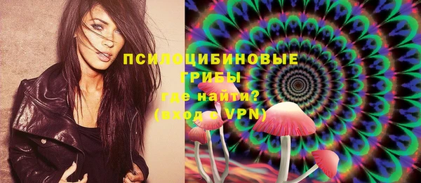 ПСИЛОЦИБИНОВЫЕ ГРИБЫ Арсеньев