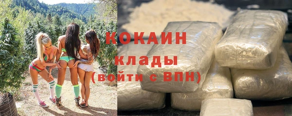 крисы Аркадак