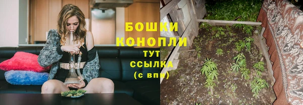 ПСИЛОЦИБИНОВЫЕ ГРИБЫ Арсеньев