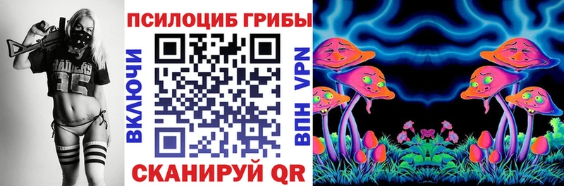 Псилоцибиновые грибы прущие грибы  Теберда 